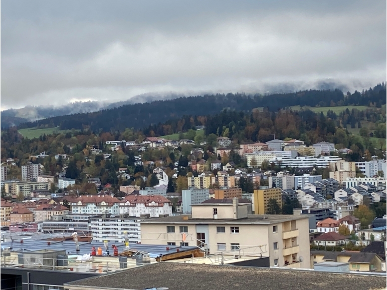 Vue