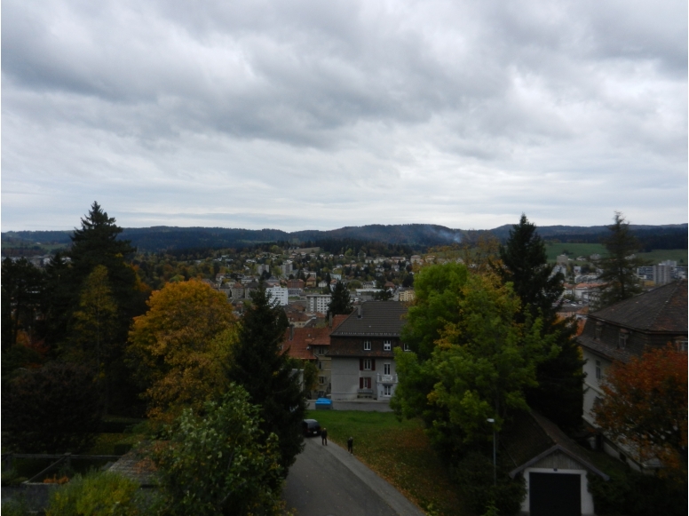 Vue
